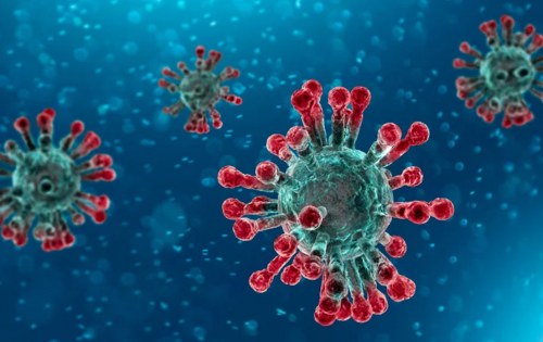 Update omtrent het Coronavirus